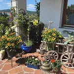 Sonnenblick * Grafenwiesen