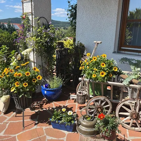 Sonnenblick * Grafenwiesen