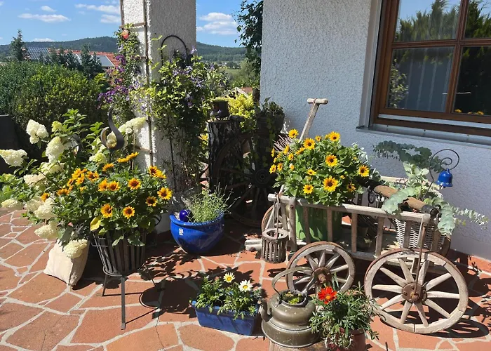 Sonnenblick * Grafenwiesen